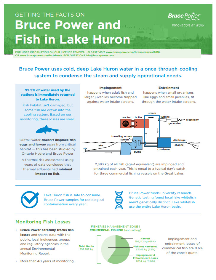 Bruce Power and the Fish in Lake Huron thumbnail