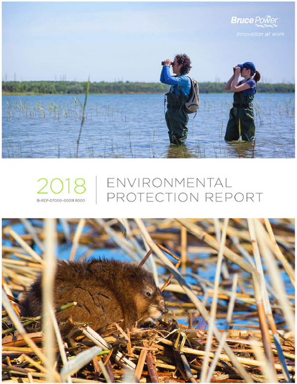2018 Environmental Protection Report cover