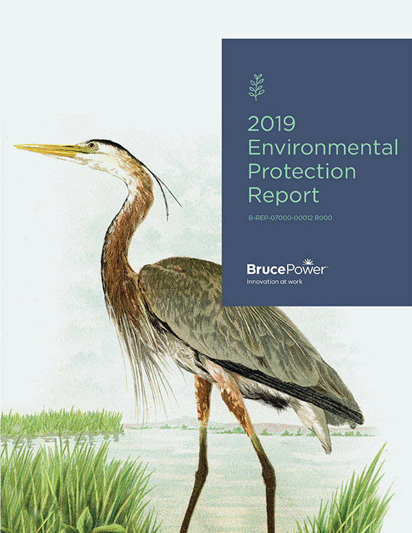2019 Environmental Protection Report cover