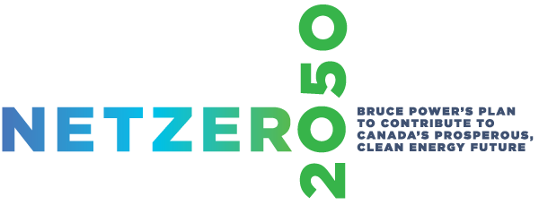 Logo for Net Zero 2050