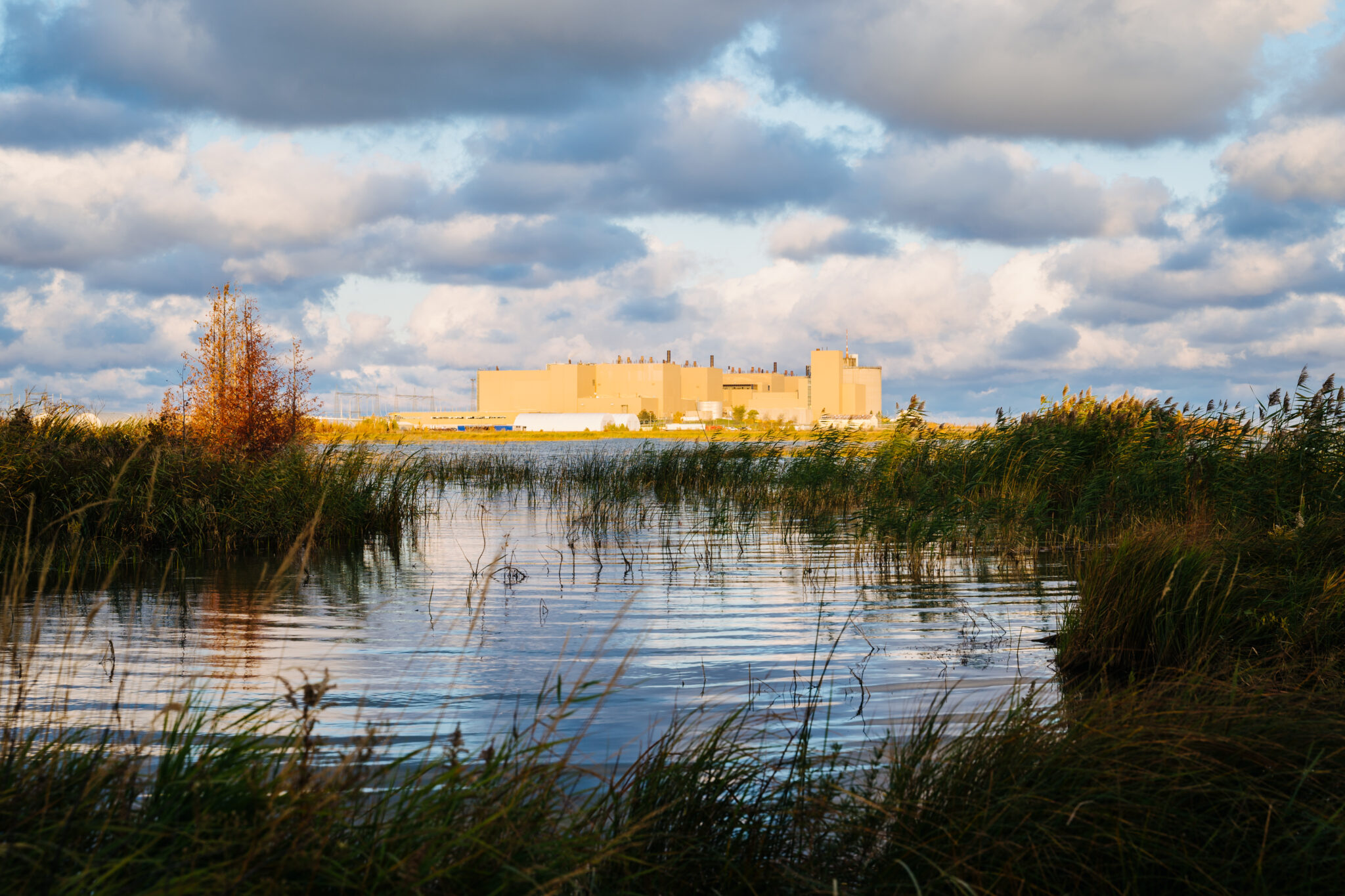 Bruce Power launches Carbon Offset Accelerator Fund to achieve Net Zero