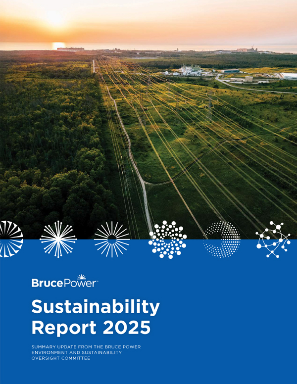 Cover for Sustainability Report Summary 2025