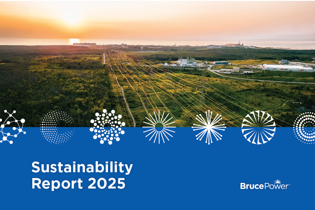 A cropped image of the Sustainability Report publication.