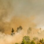 Wildfires rage in Western Canada.