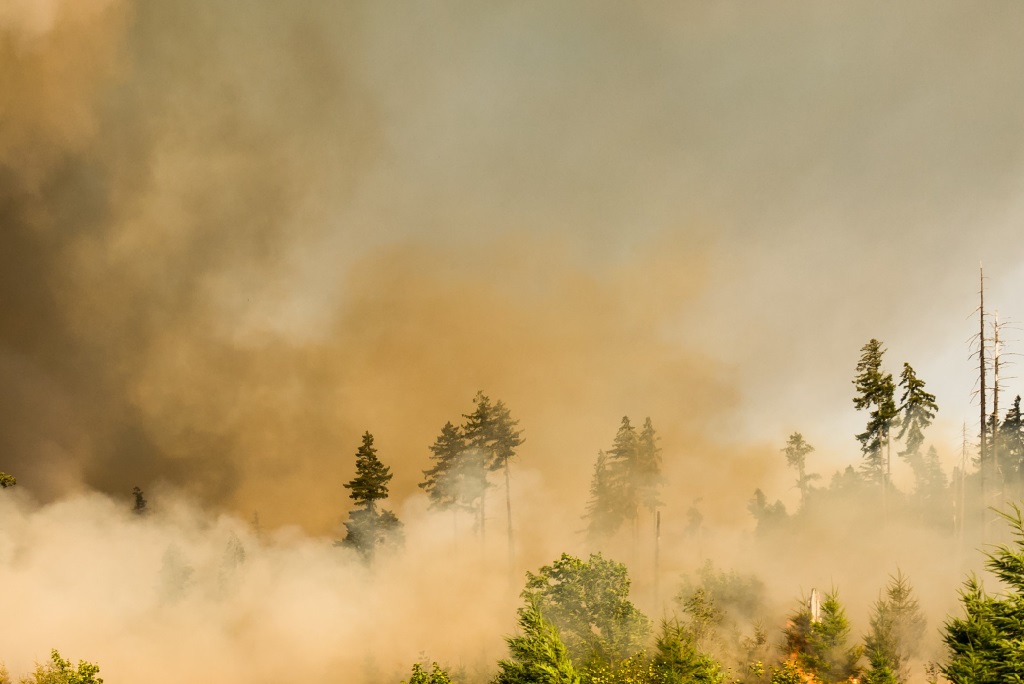 Wildfires rage in Western Canada.