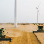 Wheat Harvest