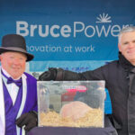 Town of South Bruce Peninsula Mayor Jay Kirkland, left, and Bruce Power's James Scongack joined the star of the show, Wiarton Willie, at the 70th annual Wiarton Willie Festival.