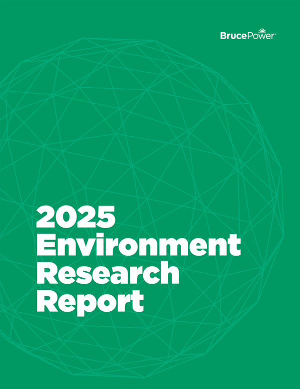 Green cover with white text reading: 2025 Environment Research Report
